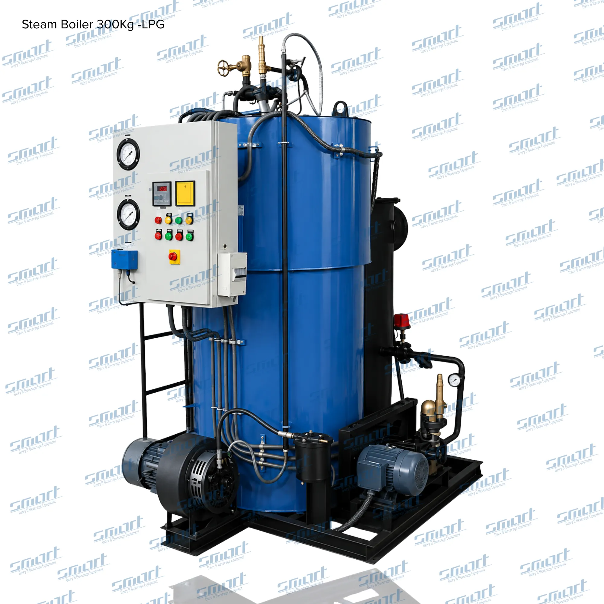 Steam Boiler 300Kg -LPG