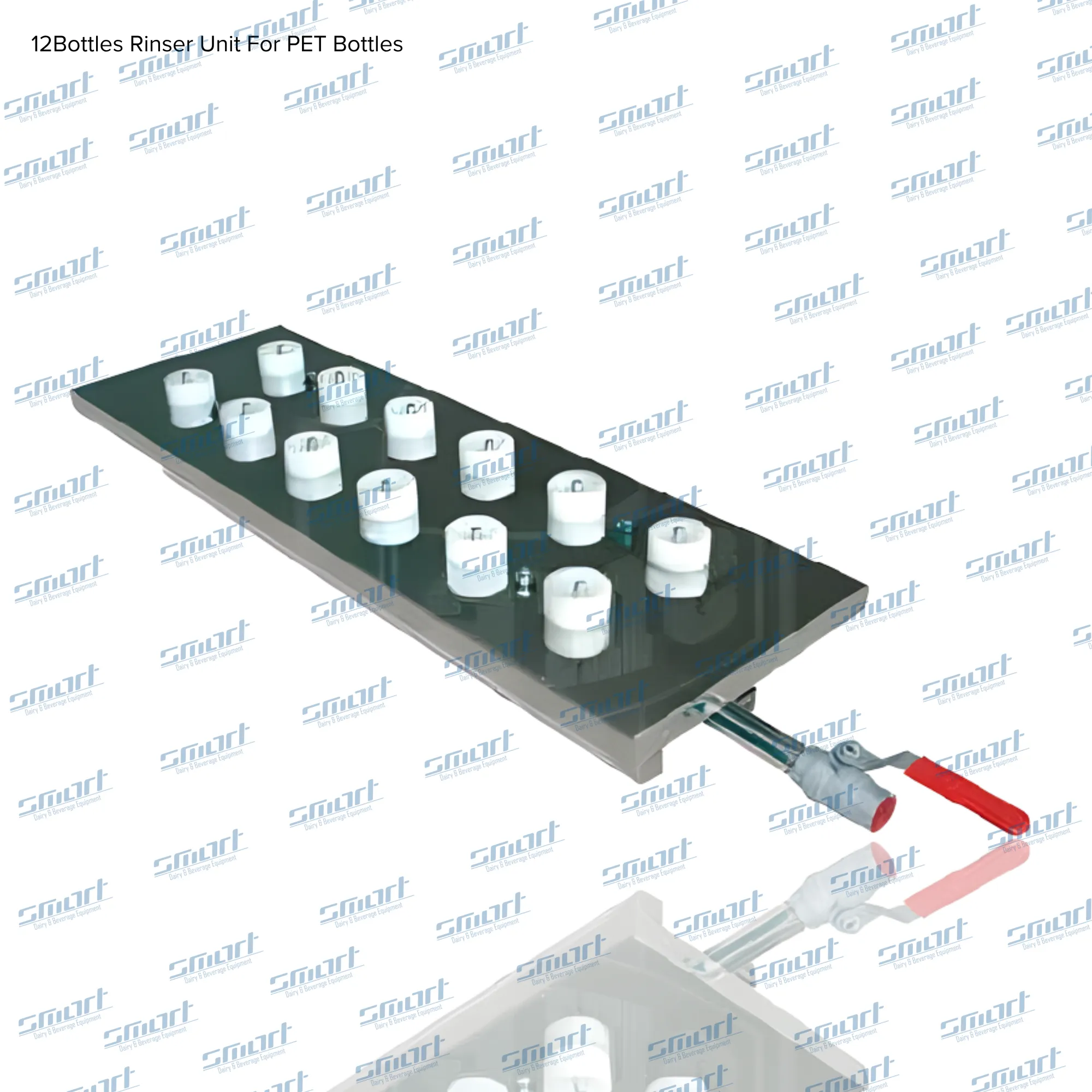 12 Bottles Rinser Unit For PET Bottles